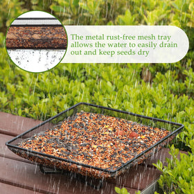 MIXXIDEA sturdy tray inviting squirrels to feed outdoors