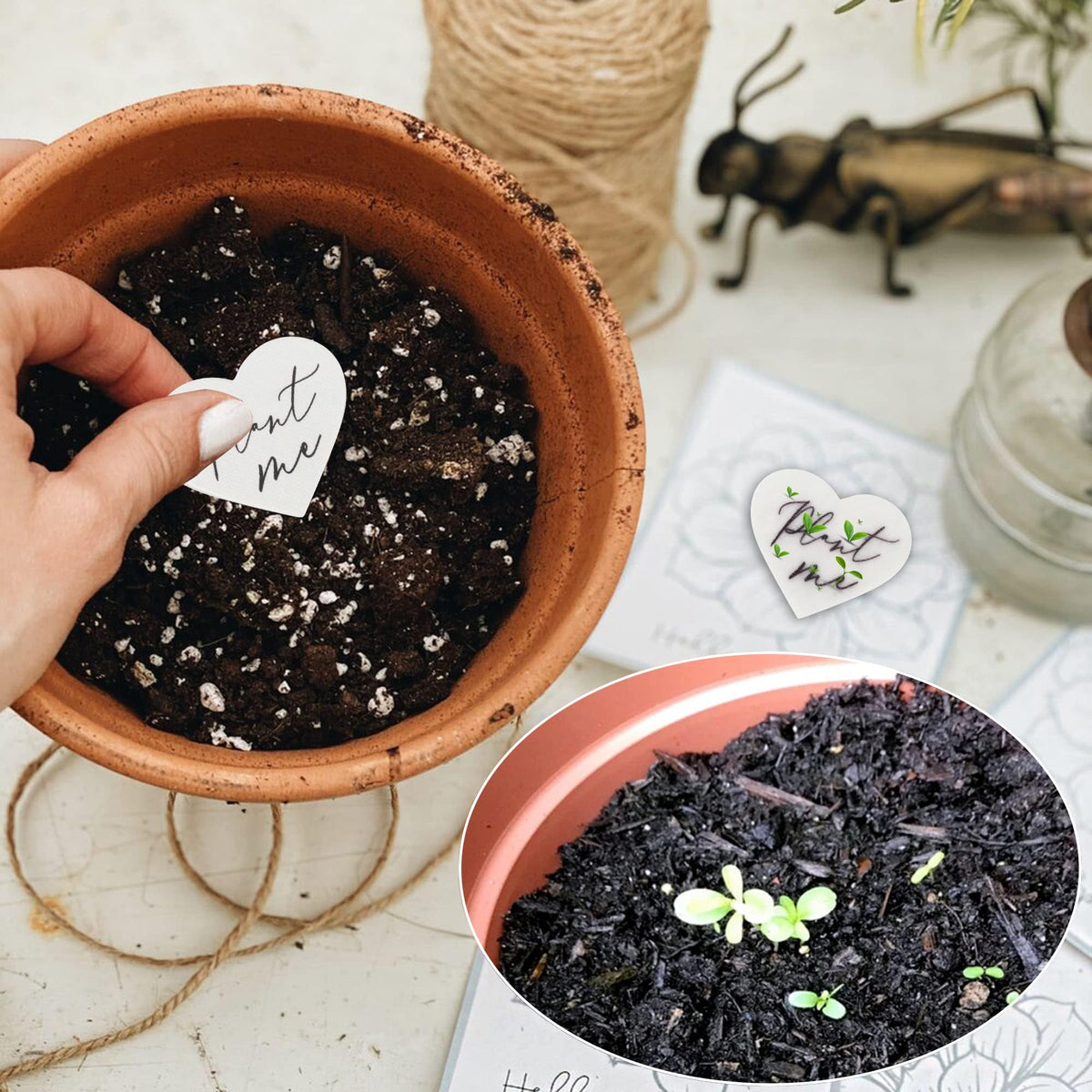 Mixrug ecological heart-shaped wedding favor ready to plant after the event.