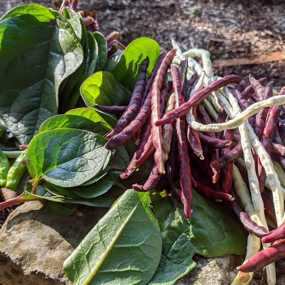 Mixrug open-pollinated heirloom seeds for easy growing in U.S. home gardens.