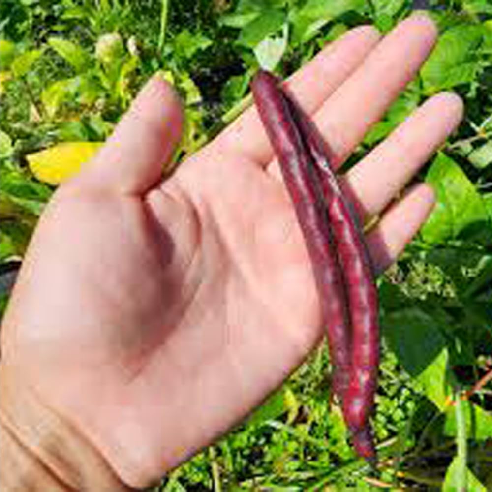 Mixrug bulk-pack sealed for long-term storage and future planting.