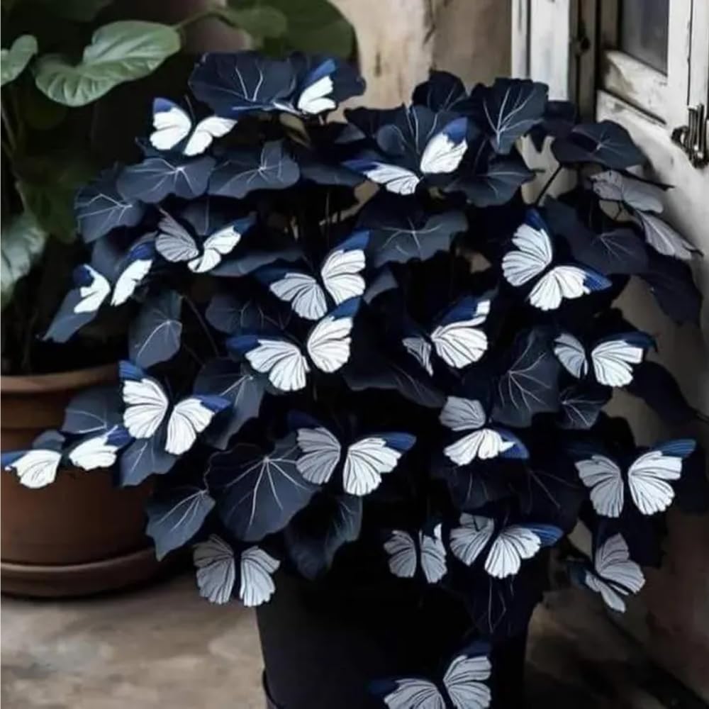 Mixrug pollinator-friendly coleus attracts butterflies and bees to gardens.