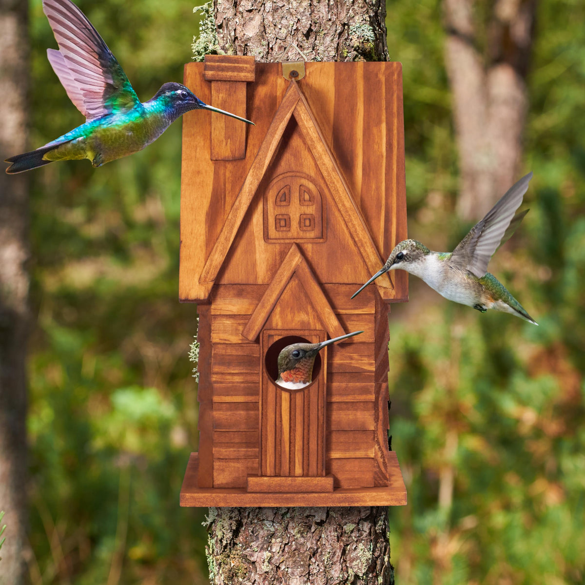 MIXUMON Bird House cleaning door close-up for easy refresh.