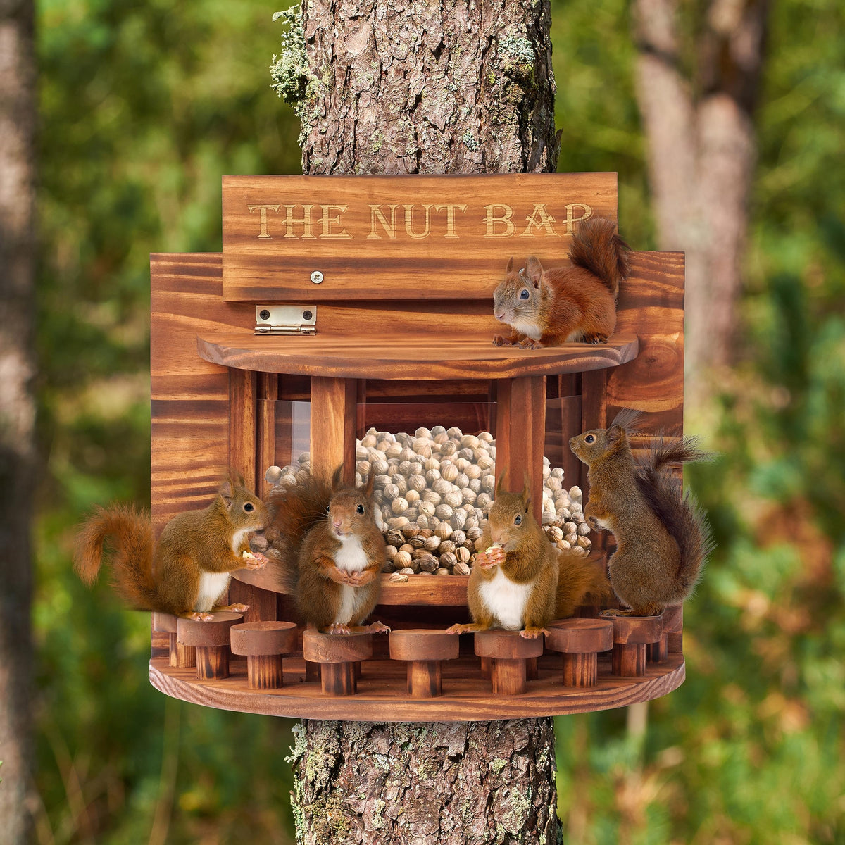 Mixumon Crescent Squirrel Feeder 9 stools interior for multiple visitors