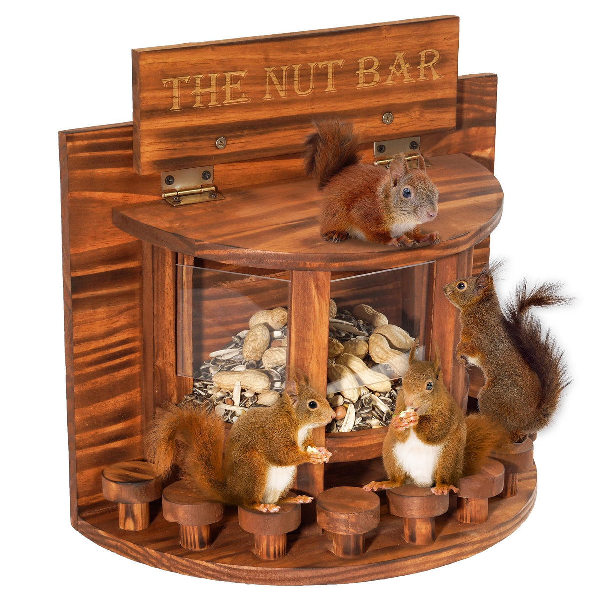 Mixumon Crescent Squirrel Feeder Table front view showing seed access area for multiple squirrels