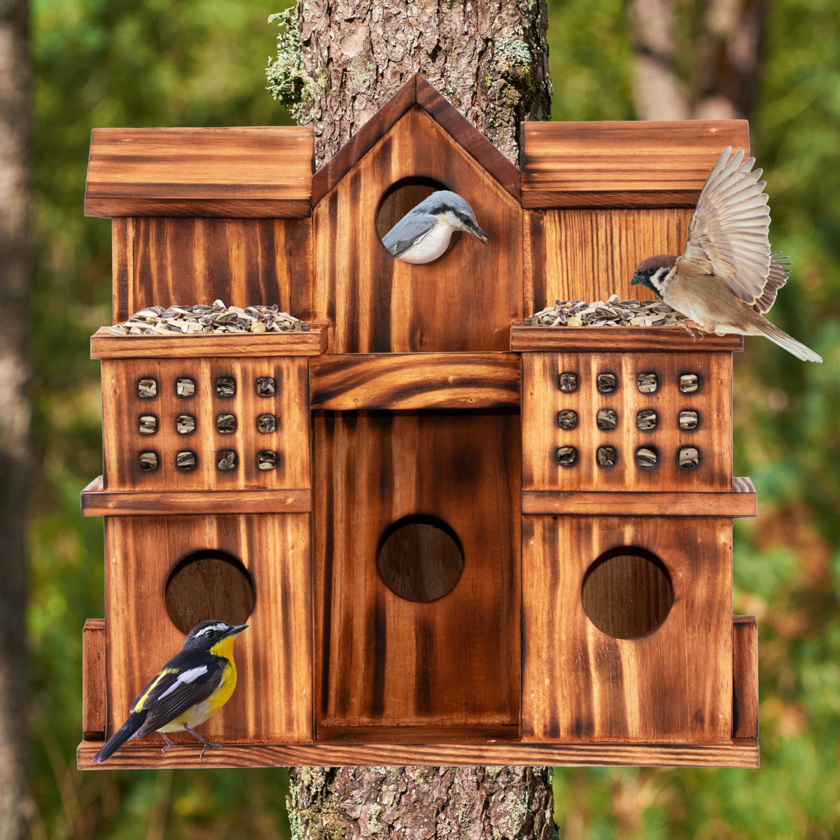MIXUMON front feeders invite birds to feed directly from the home.