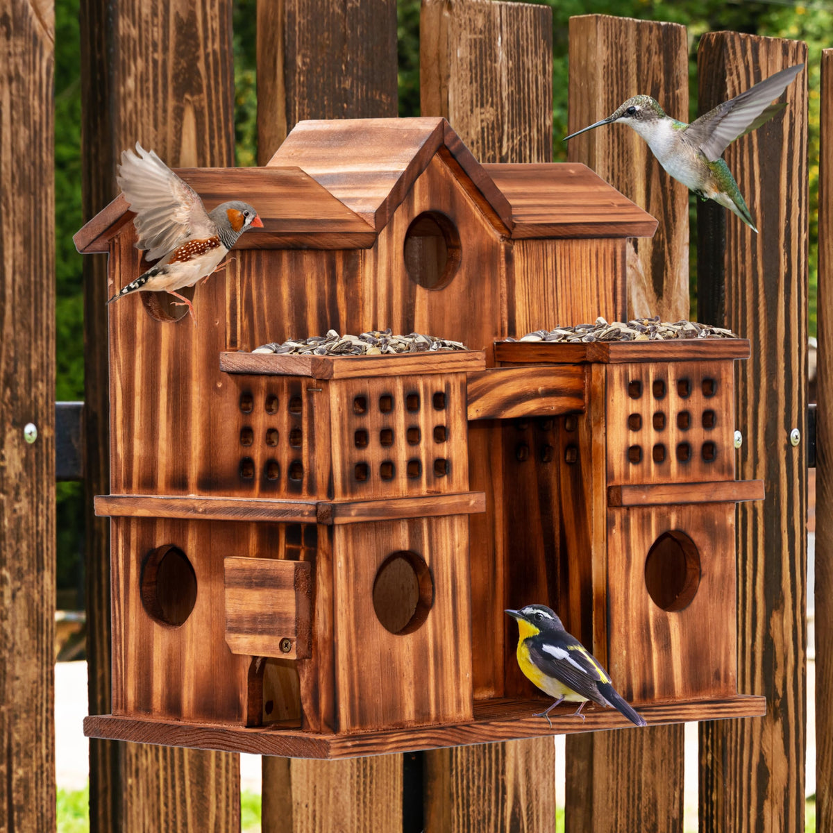 MIXUMON ideal for garden, yard, and patio birdwatching.