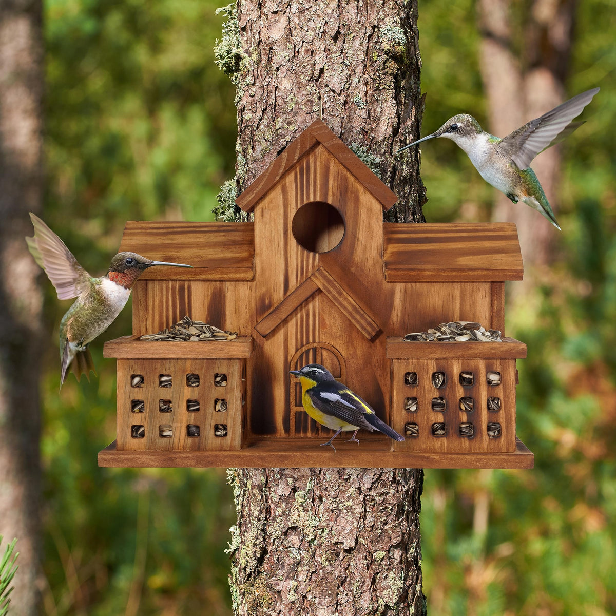 MIXUMON hanging bird house on a tree for easy outdoor installation.