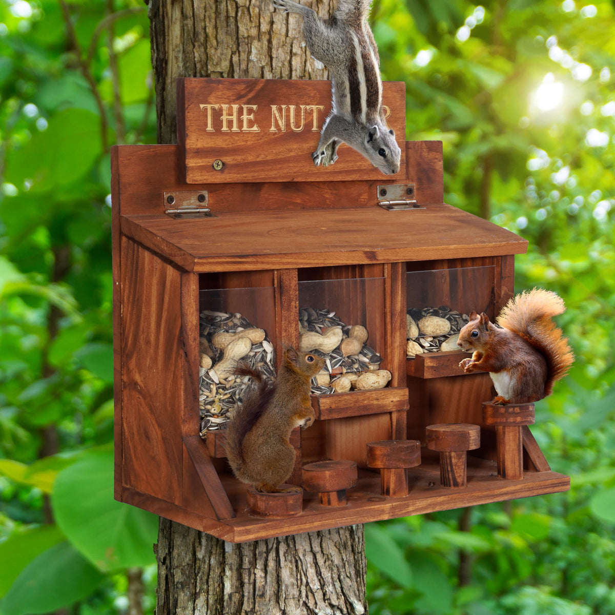 Mixumon Sliding Acrylic Shield helps squirrels see seeds clearly.