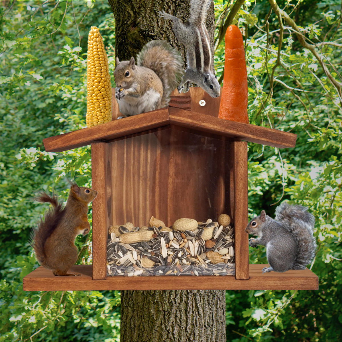 MIXUMON feeder front with clear acrylic attracts squirrels to the food
