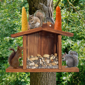 MIXUMON feeder front with clear acrylic attracts squirrels to the food