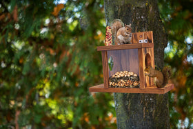 MIXUMON feeder front with clear acrylic showcases food for quick entry