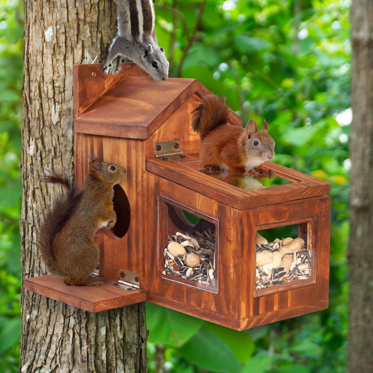 MIXUMON Wood Squirrel Feeder side entrances simplify access for wildlife.