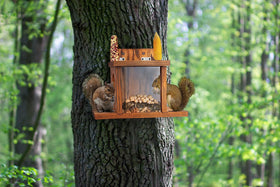 MIXUMON two side entry holes guide squirrels to the tray
