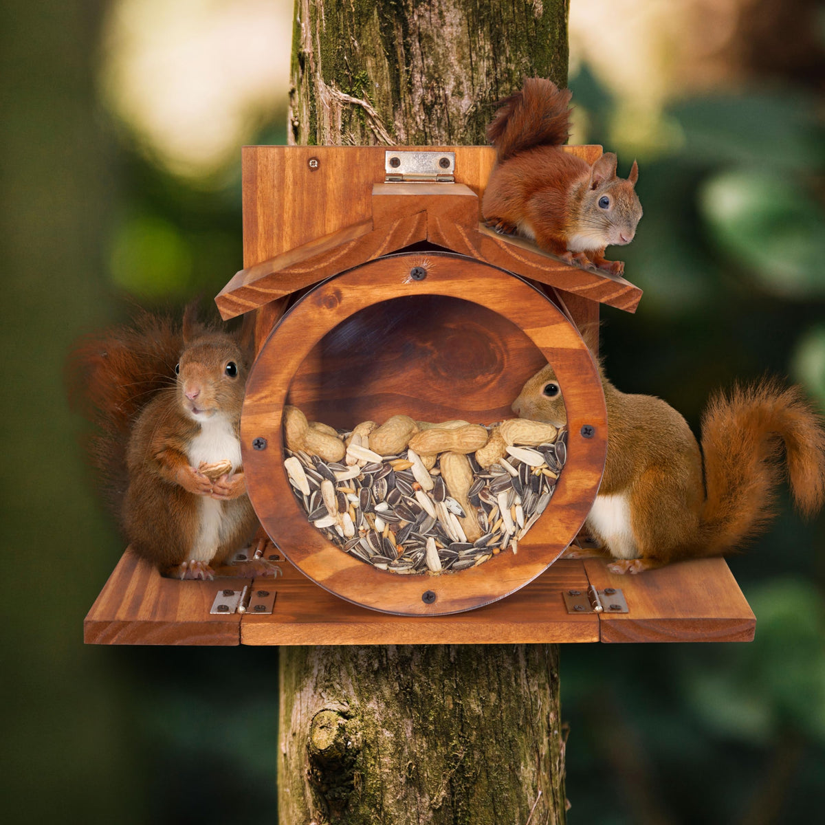MIXUMON Wood Squirrel Feeder side-entry holes enable easy access for squirrels.