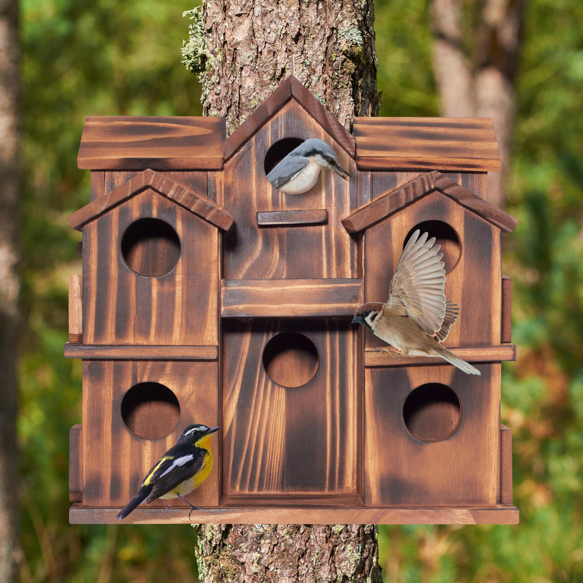 MIXUMON bird house with individual cleaning doors shown from the back for easy access.