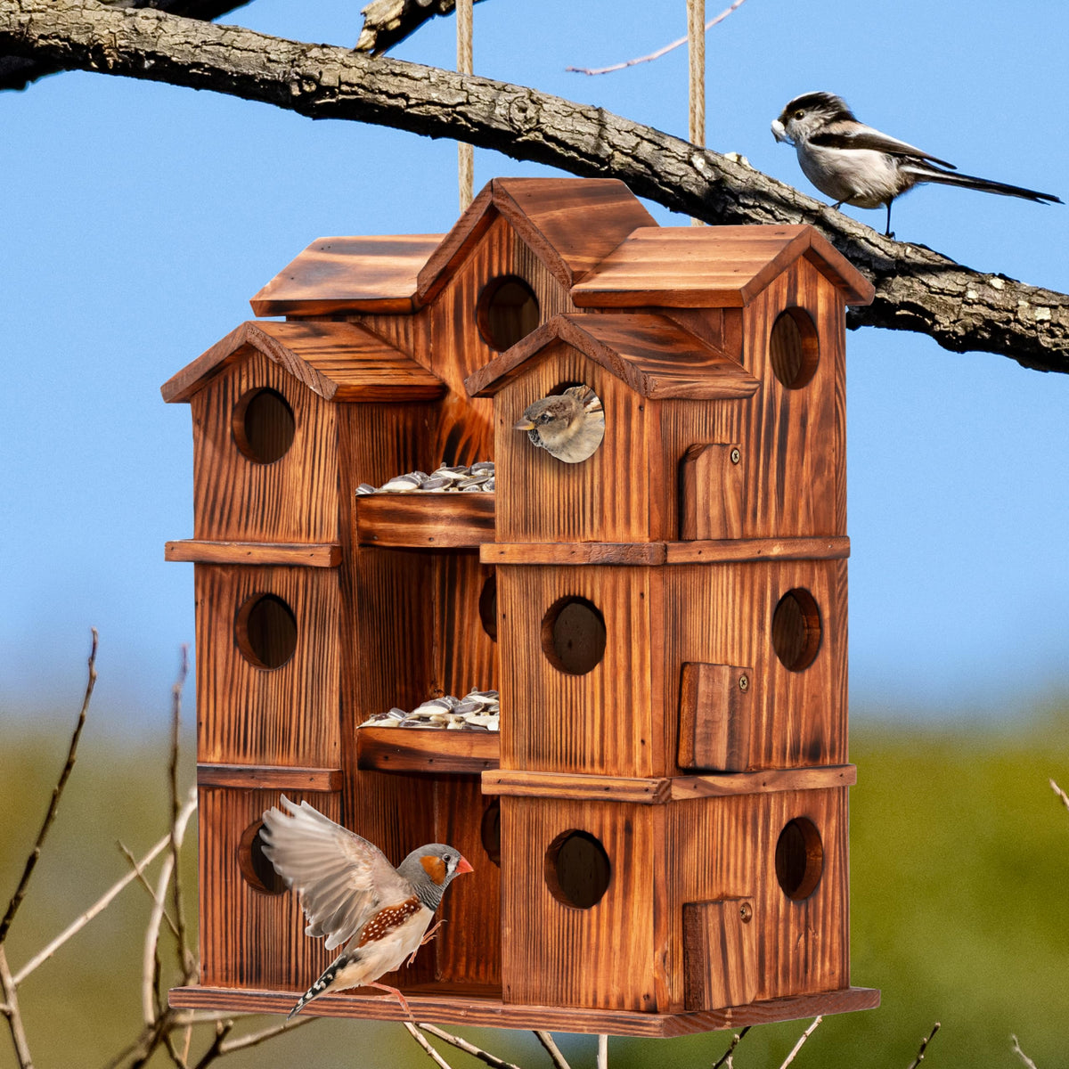 MIXUMON closeup of 1.57-inch entrance holes for small backyard birds.