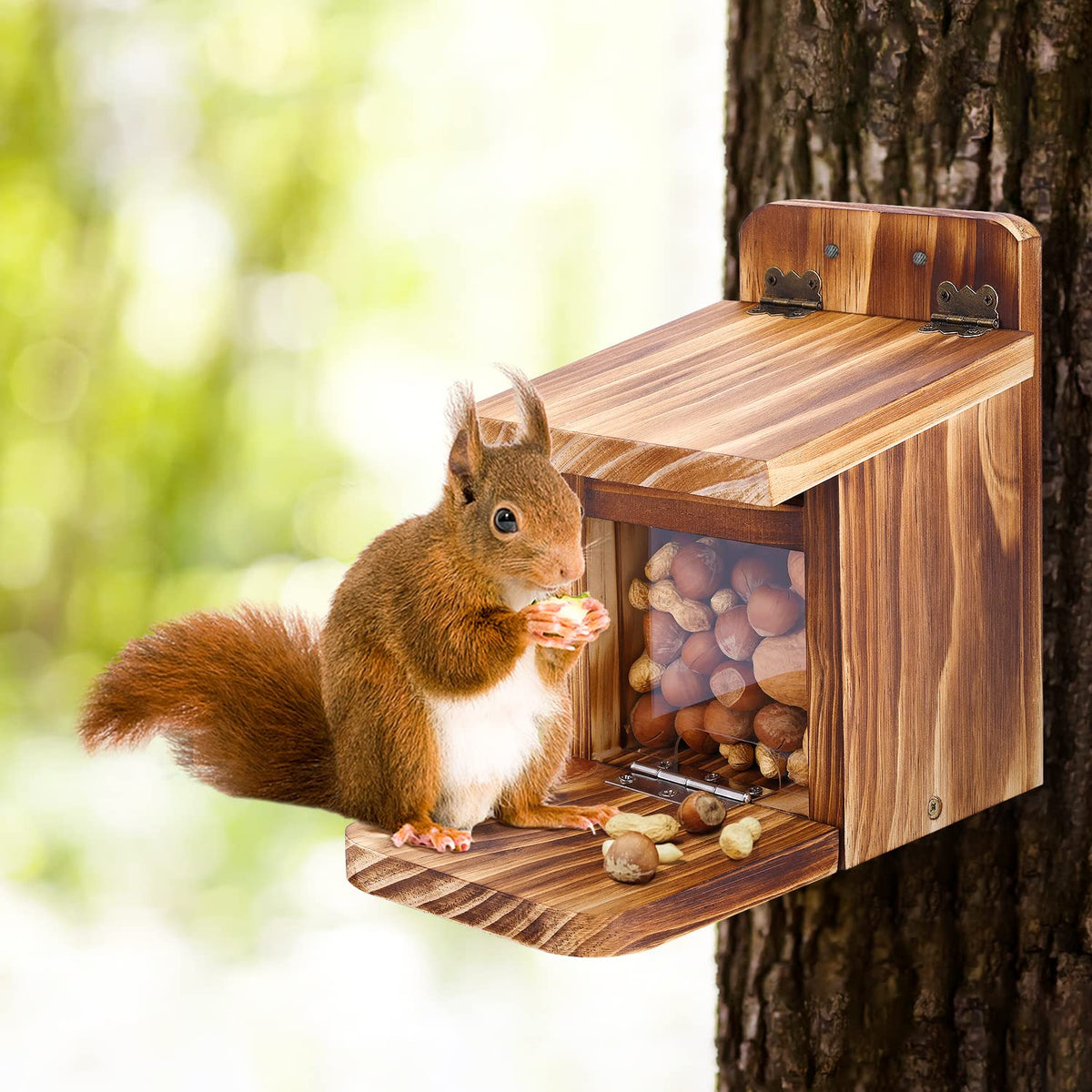 MIXXIDEA backyard squirrel feeder stable design reduces wind wobble.