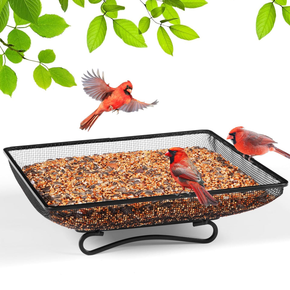 MIXXIDEA ground bird feeder tray 11x11 steel with drainage keeps seeds dry and fresh.