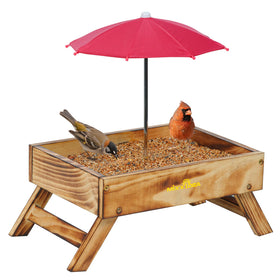 MIXXIDEA ground bird feeder with umbrella roof protects seeds from rain