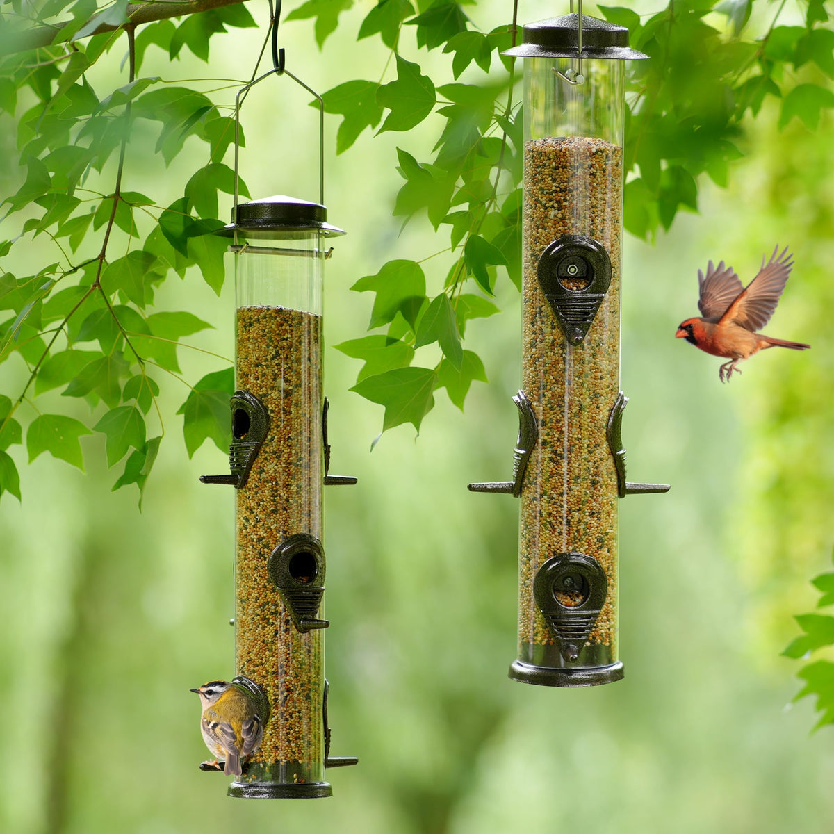 MIXXIDEA hanging feeder attracts hummingbirds and sparrows in a lively garden