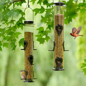 MIXXIDEA hanging feeder attracts hummingbirds and sparrows in a lively garden