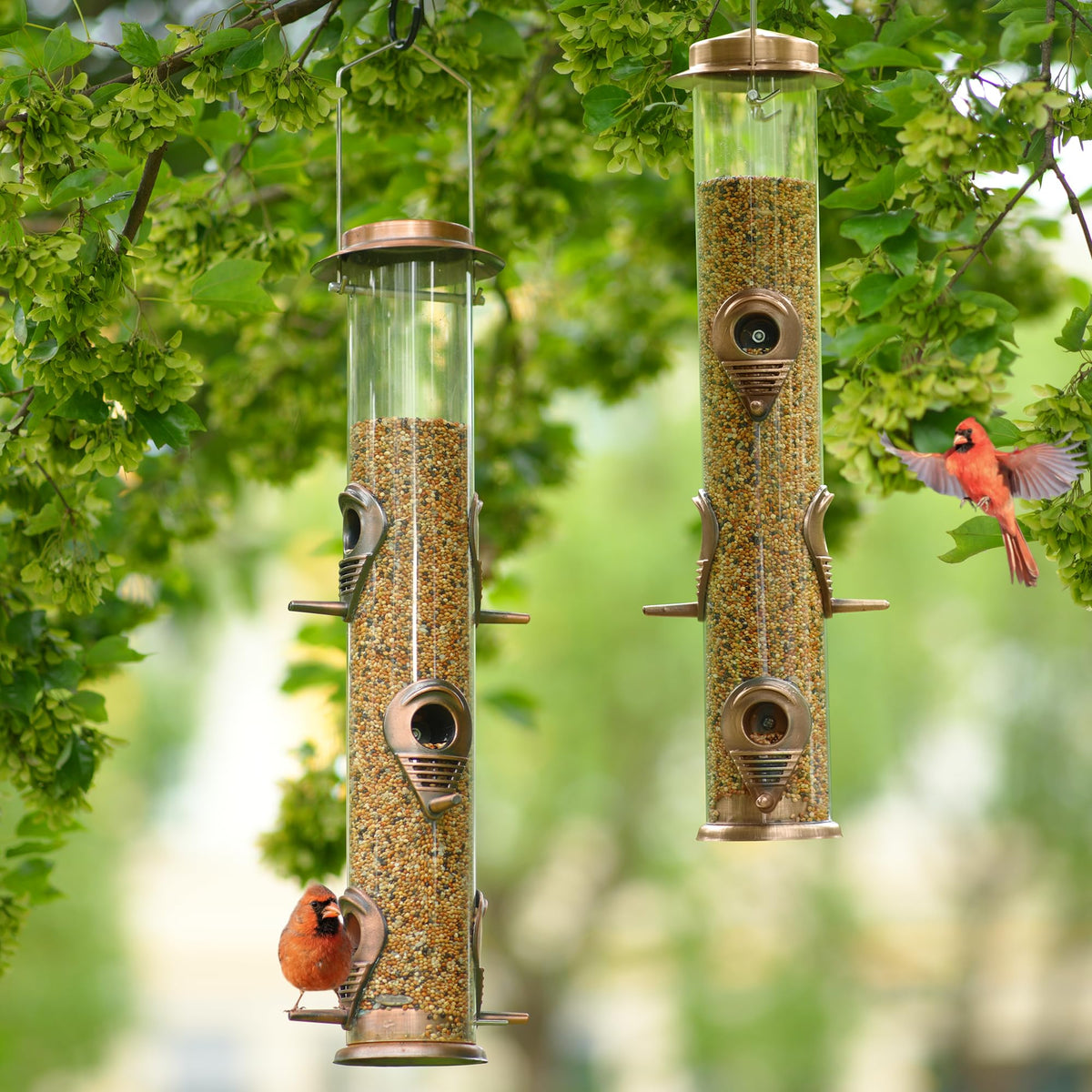 MIXXIDEA outdoor hanging feeder invites birds to your yard