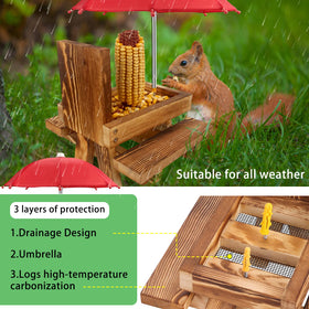 MIXXIDEA ample-seating-benches let two squirrels snack together.