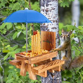 MIXXIDEA Two squirrels can dine simultaneously