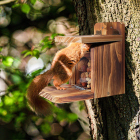 MIXXIDEA wooden board thickness 1.5cm detail showcases sturdy, long-lasting structure.