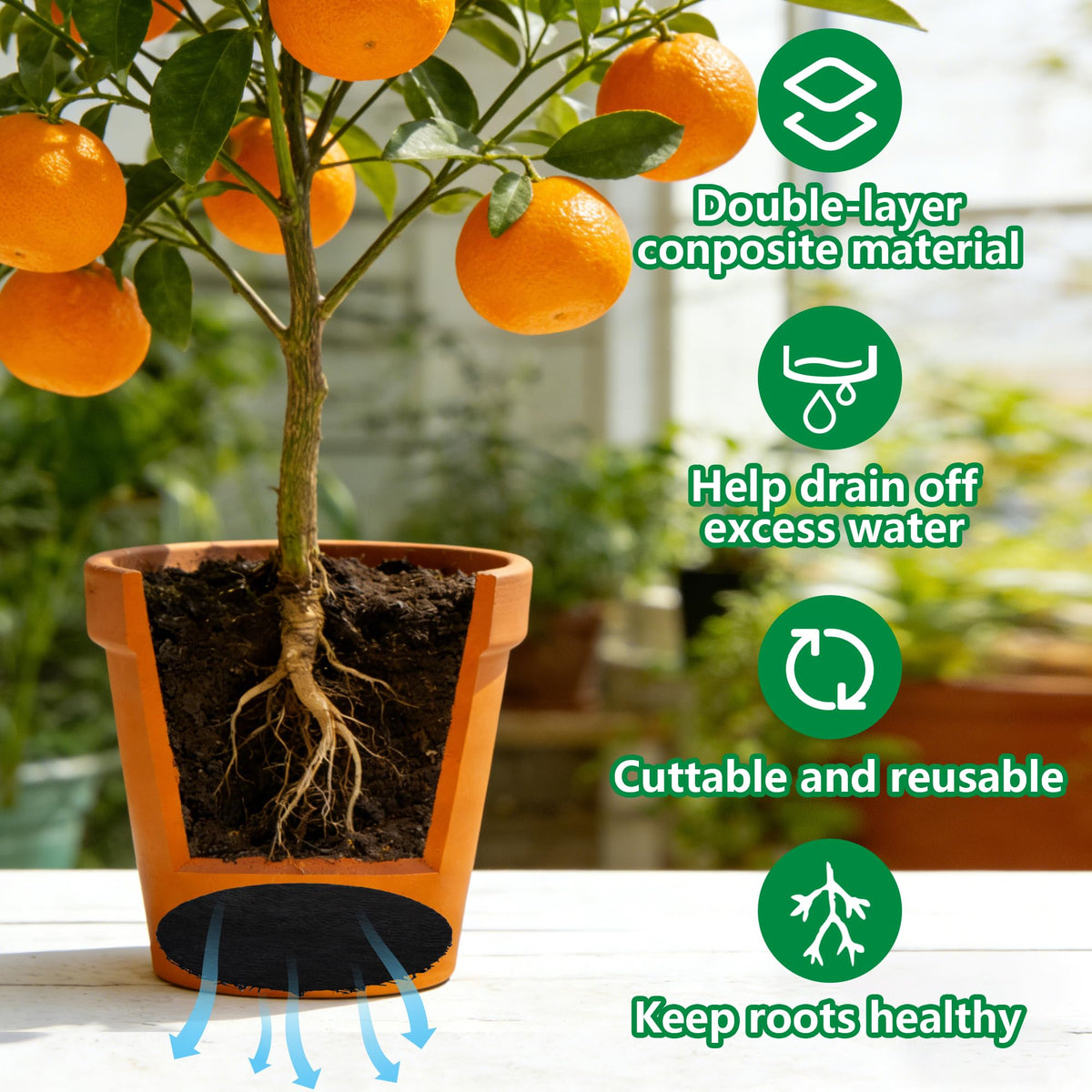 Mizelu cuttable disc design fits various pots with easy resizing.