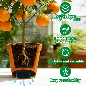 Mizelu cuttable disc design fits various pots with easy resizing.
