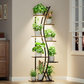 MJOMKN 62-inch plant stand with grow lights elevates indoor greenery year-round