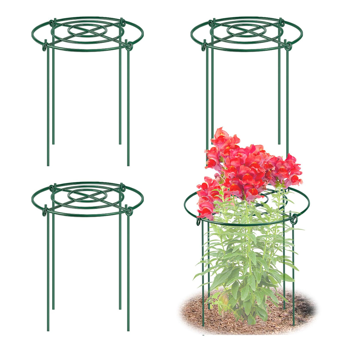 MJZ 4-pack peony cages with grid-top design for sturdy plant support.