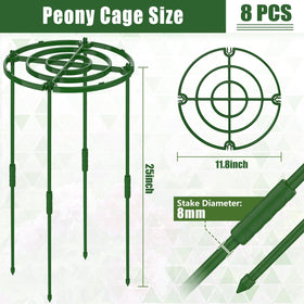 MJZ 8-pack peony cages grid-top close-up highlights even weight distribution.