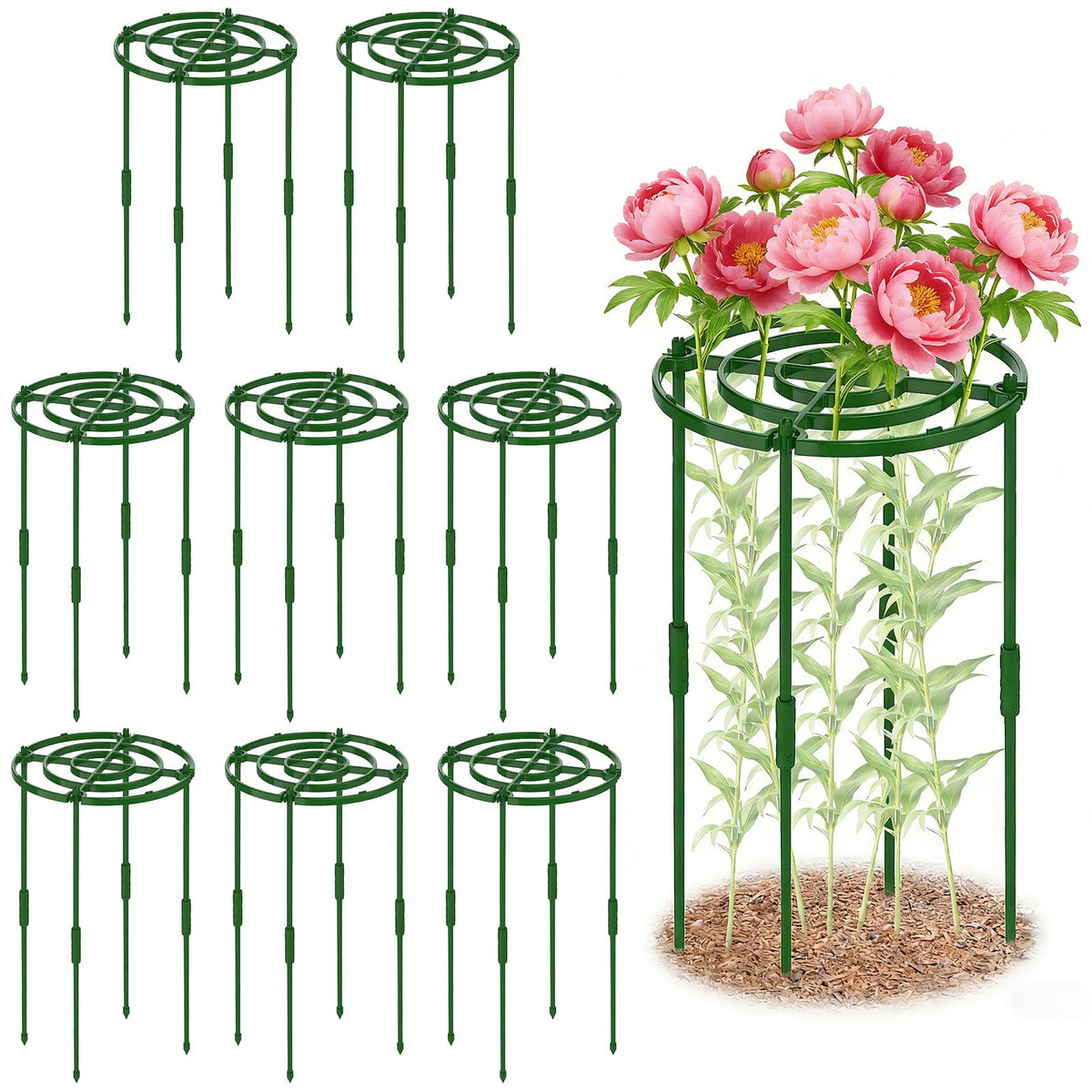 MJZ 8-pack peony cages top view supports stable upright blooms.
