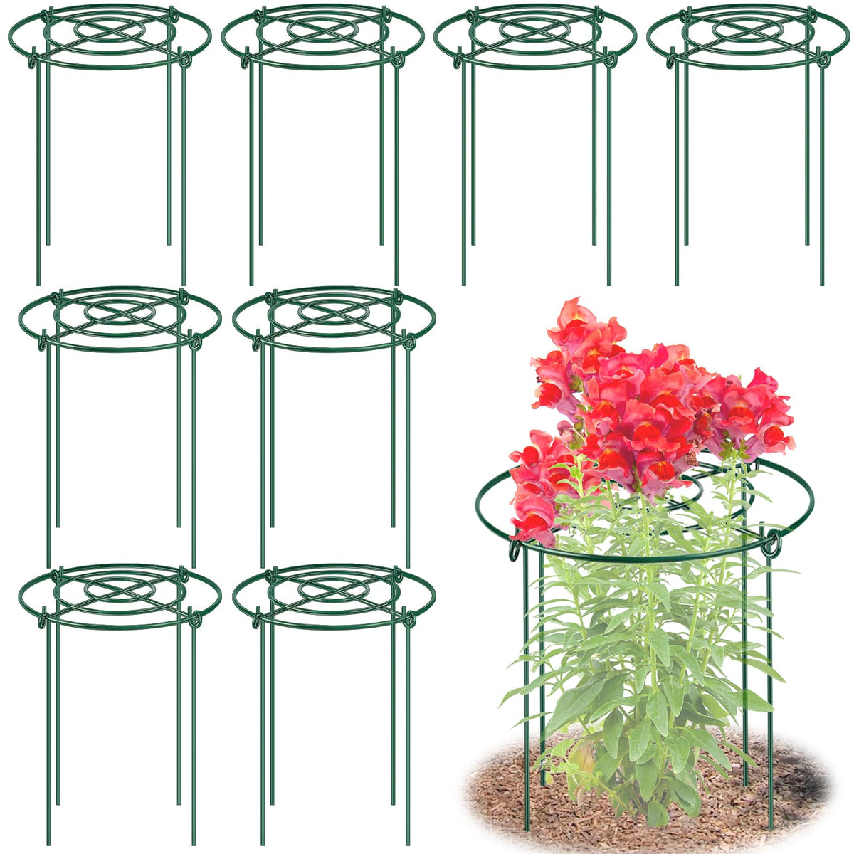 MJZ 8-pack peony cages with grid-top offer upright support for blooming peonies.