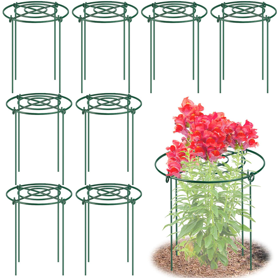MJZ 8-pack peony cages with grid-top offer upright support for blooming peonies.