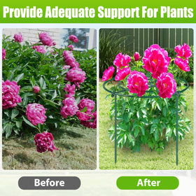 MJZ green-coated cages blend into the garden while supporting upright growth.