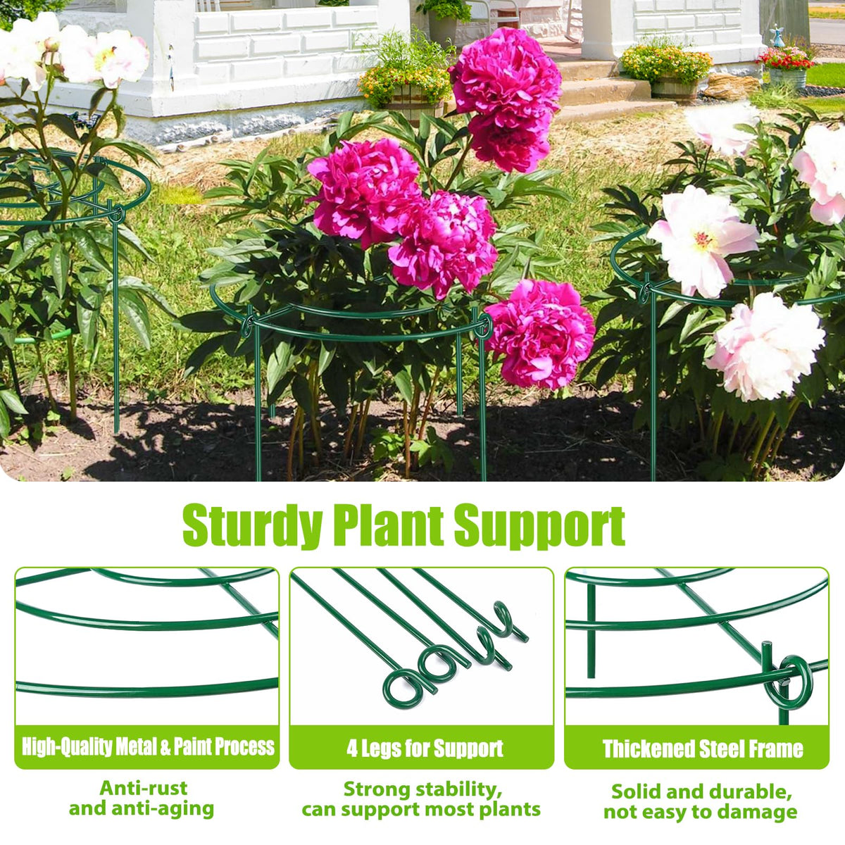 MJZ sturdy-iron-wire cages resist bending for long-lasting garden support.