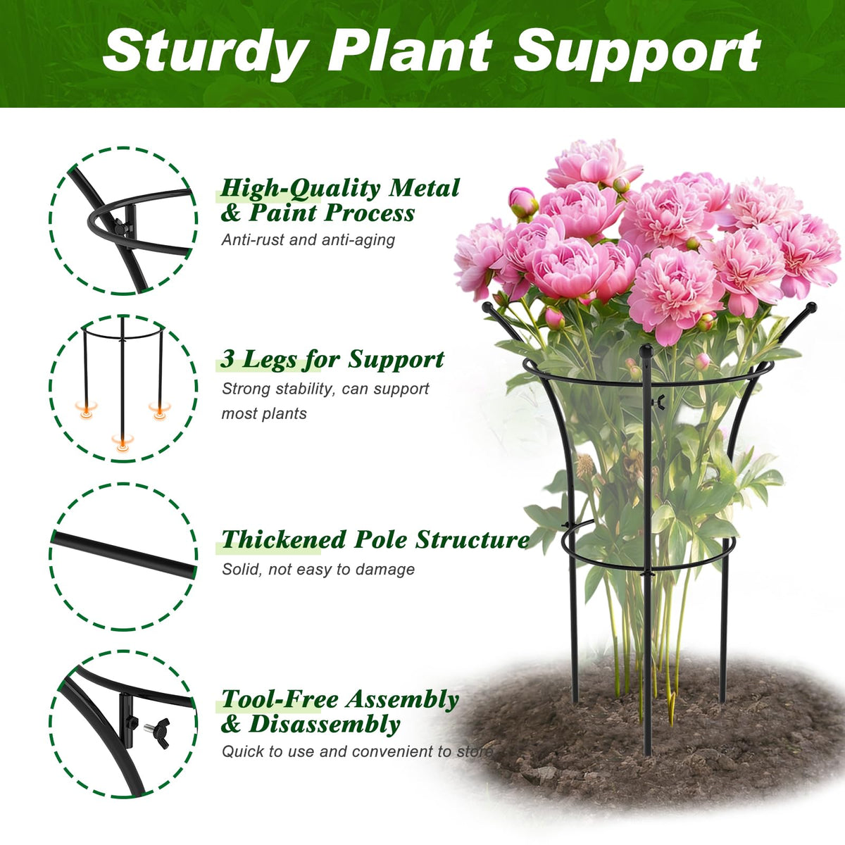 MJZ peony cages in garden highlight weather-ready metal and rust-resistant finish