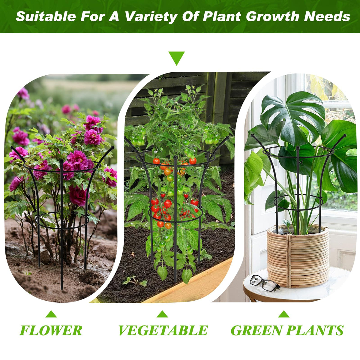 MJZ peony cages metal finish highlights durability and long-term reuse potential