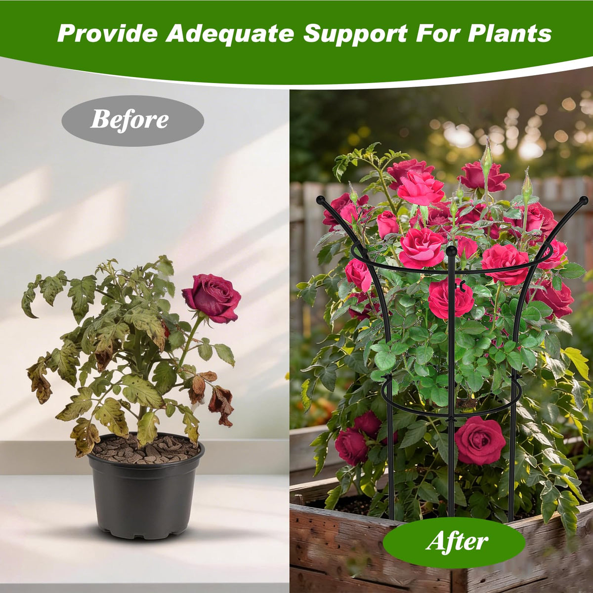 MJZ peony cages top-down view emphasizes dual-ring support guiding stems toward the light