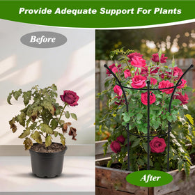 MJZ peony cages top-down view emphasizes dual-ring support guiding stems toward the light