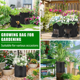 MJZ versatile garden bags suitable for potatoes, tomatoes, and more indoors or outdoors