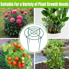 MJZ versatile garden support for peony, rose, tomato, and more.