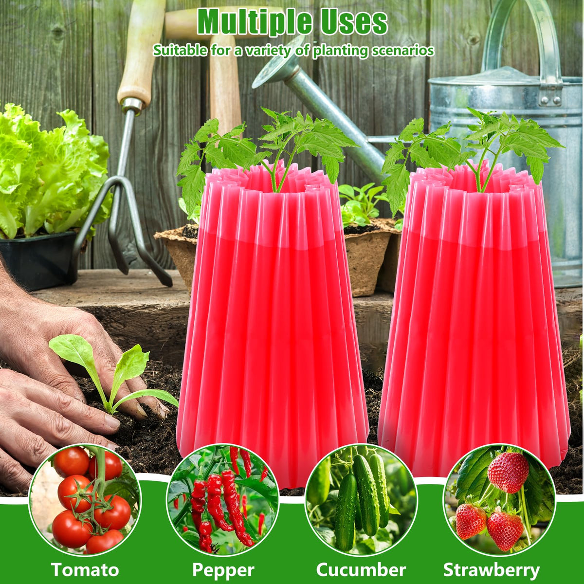 MJZ Walls of Water standing upright when filled provides a reliable microclimate for growth.