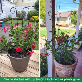 Mklsit fan shape trellis decorates pots while offering sturdy plant support.