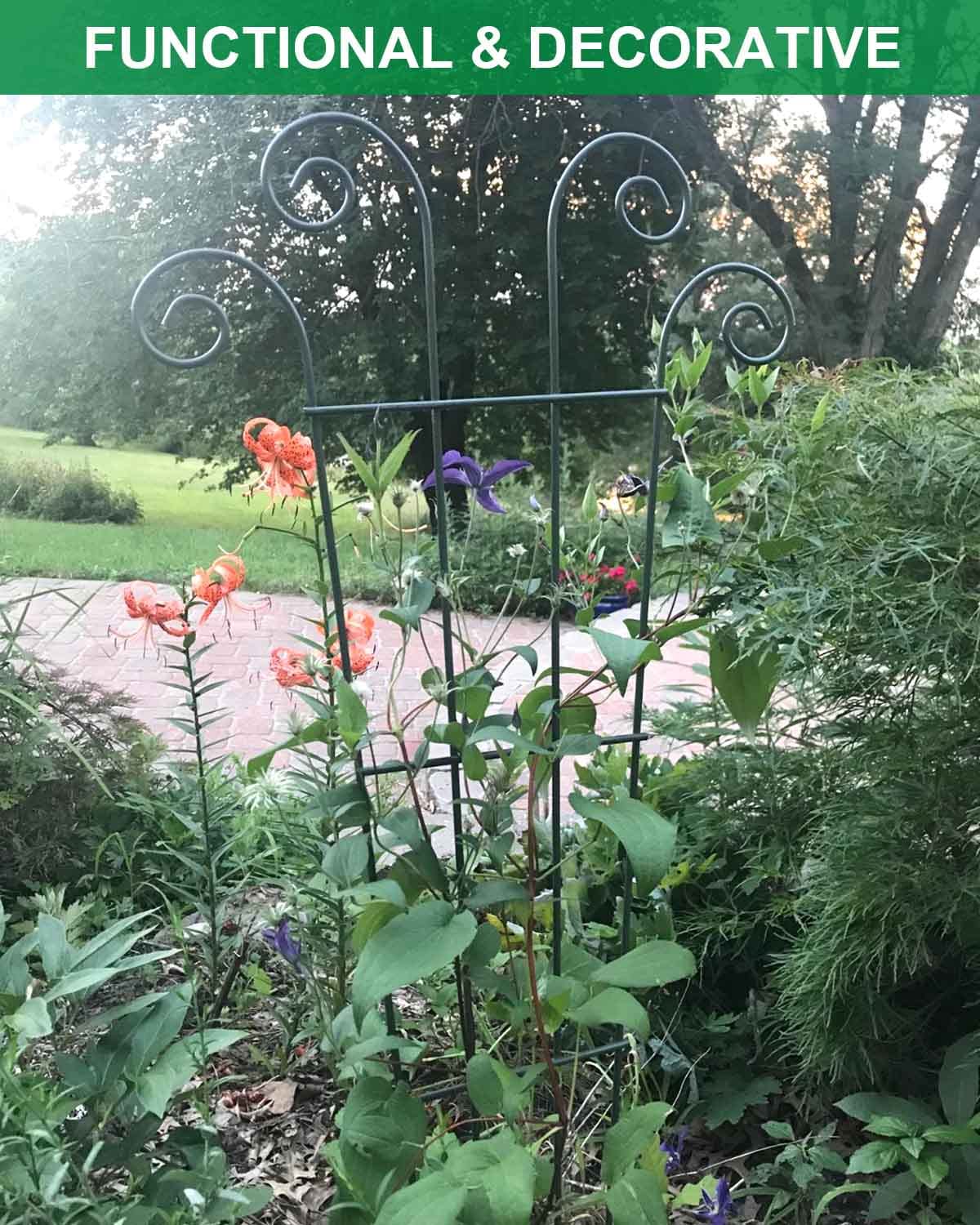 Mklsit no assembly setup trellis kit for quick, easy use.