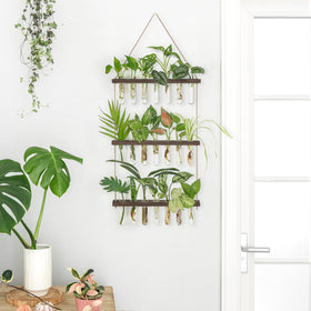 Mkono 21-test-tube set ideal for propagating cuttings