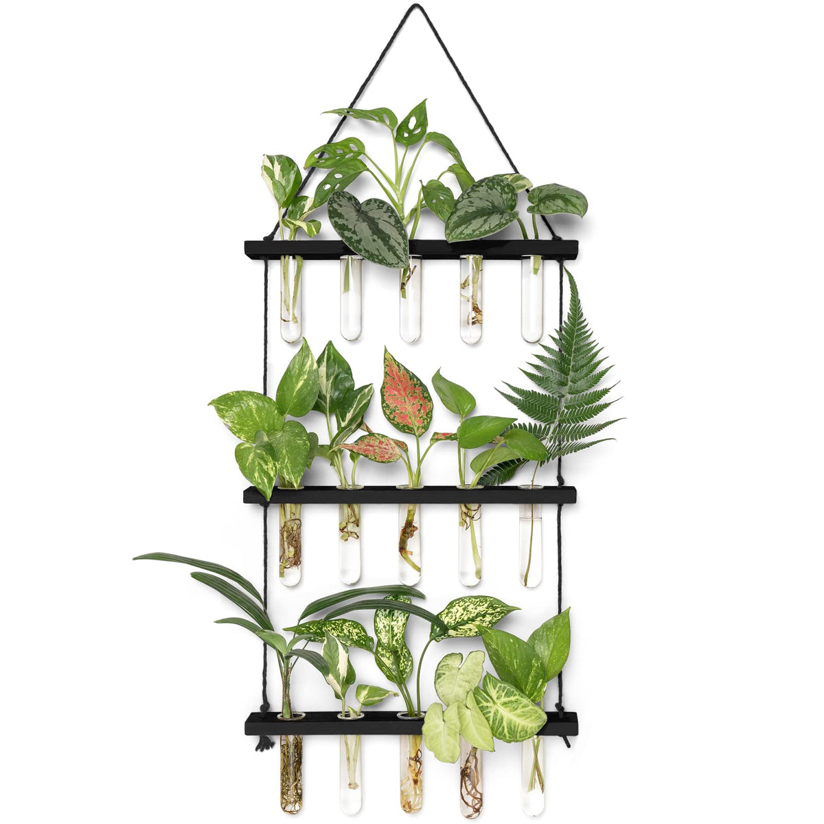 Mkono 3-tier wall hanging terrarium with wooden frame and glass tubes for propagation